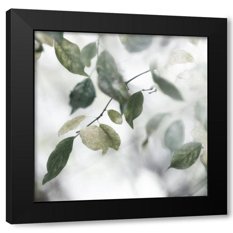 Quiet Green II Black Modern Wood Framed Art Print by Weisz, Irene