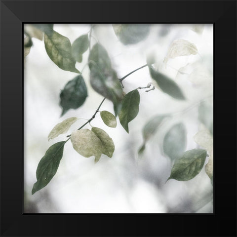 Quiet Green II Black Modern Wood Framed Art Print by Weisz, Irene