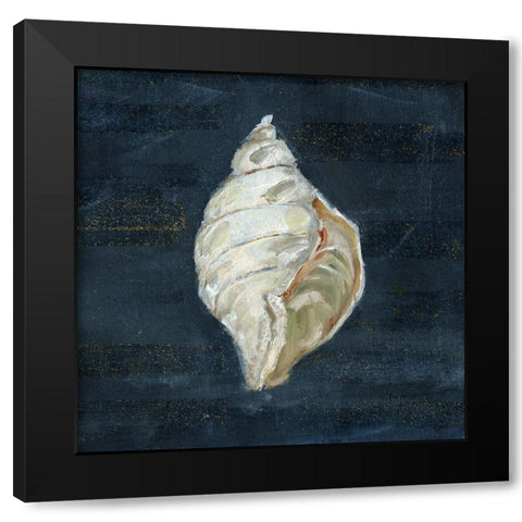 Night Shell II Black Modern Wood Framed Art Print with Double Matting by Swatland, Sally