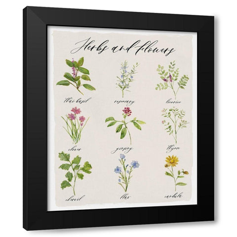 Herbs and Flowers Black Modern Wood Framed Art Print with Double Matting by Swatland, Sally