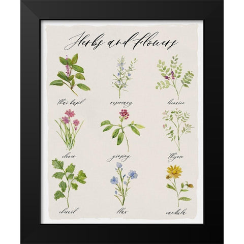 Herbs and Flowers Black Modern Wood Framed Art Print by Swatland, Sally