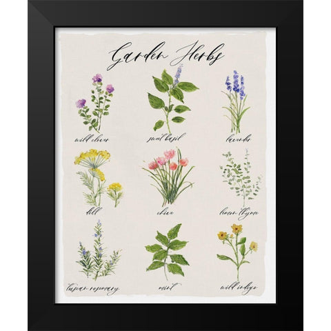 Garden Herbs Black Modern Wood Framed Art Print by Swatland, Sally