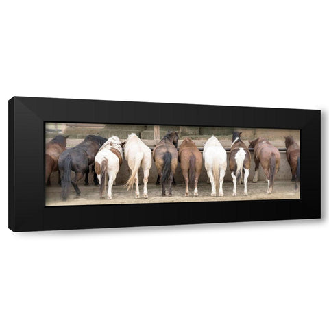 Haystack Happy Black Modern Wood Framed Art Print with Double Matting by Delimont, Danita
