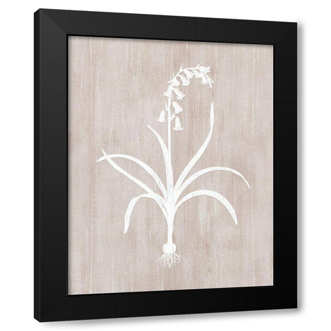 Botany Beauty I Black Modern Wood Framed Art Print with Double Matting by CAD Designs