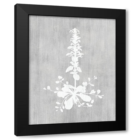 Botany Beauty II Black Modern Wood Framed Art Print with Double Matting by CAD Designs
