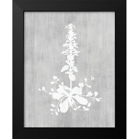Botany Beauty II Black Modern Wood Framed Art Print by CAD Designs
