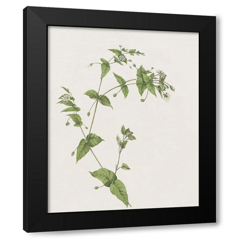 Wispy Botanical I Black Modern Wood Framed Art Print by Donovan, Kelly