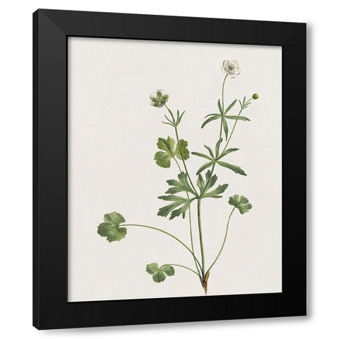 Wispy Botanical II Black Modern Wood Framed Art Print with Double Matting by Donovan, Kelly