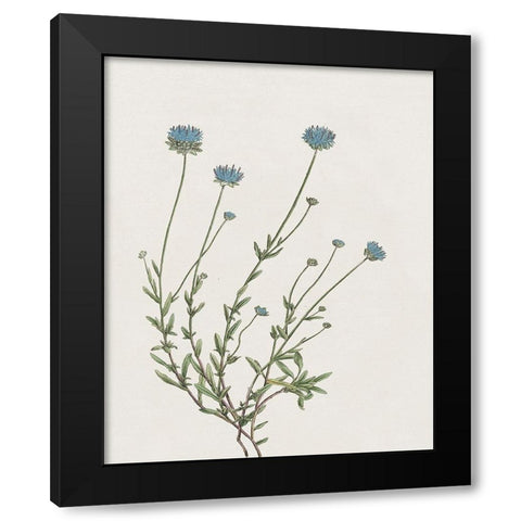 Blue Wispy I Black Modern Wood Framed Art Print by Donovan, Kelly
