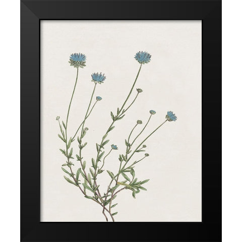 Blue Wispy I Black Modern Wood Framed Art Print by Donovan, Kelly