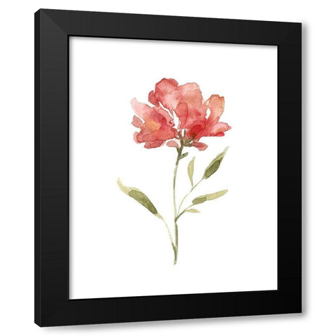 Botanical Beauty II Black Modern Wood Framed Art Print by Robinson, Carol