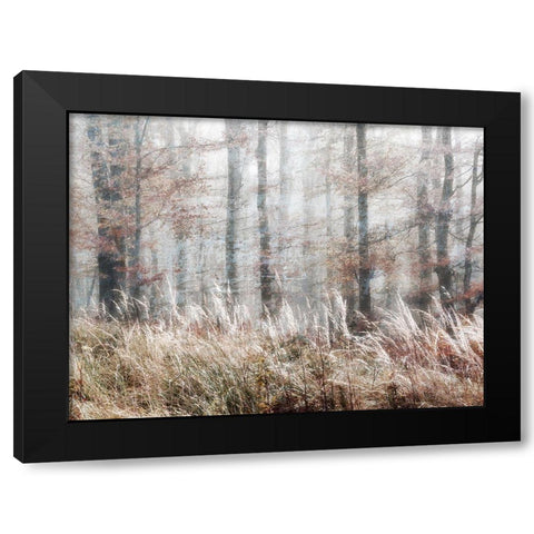Always Magic in the Woods Black Modern Wood Framed Art Print with Double Matting by Weisz, Irene