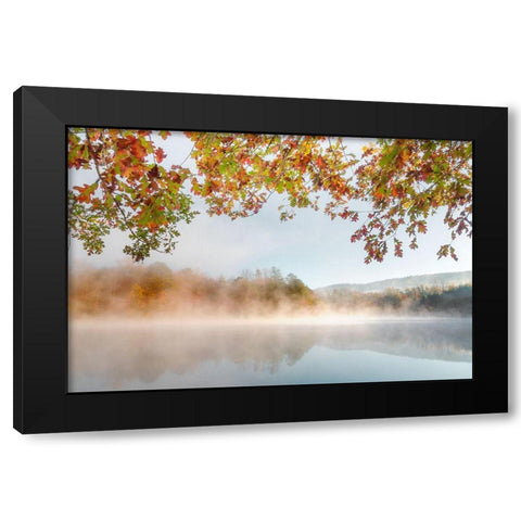 Autumn Misty Black Modern Wood Framed Art Print by Delimont, Danita