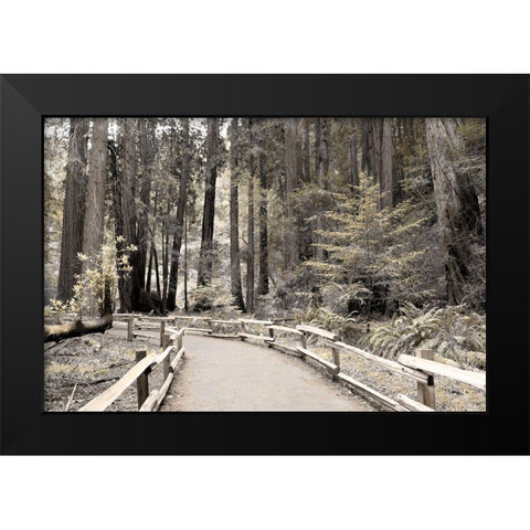 Solitude Path Black Modern Wood Framed Art Print by Delimont, Danita