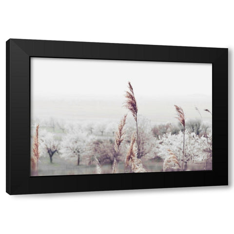 Breeze of Summer Black Modern Wood Framed Art Print with Double Matting by Weisz, Irene
