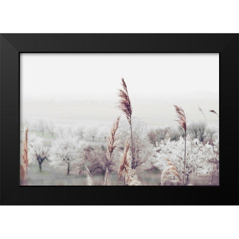 Breeze of Summer Black Modern Wood Framed Art Print by Weisz, Irene