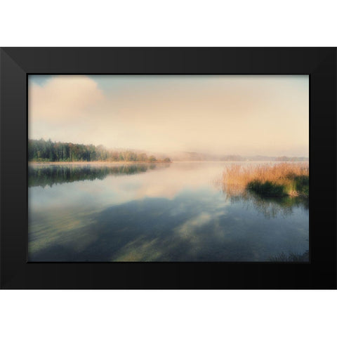 East Lake Black Modern Wood Framed Art Print by Weisz, Irene
