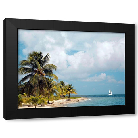 Caribbean Sea Black Modern Wood Framed Art Print with Double Matting by Delimont, Danita