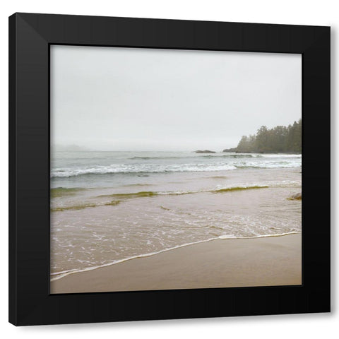 Pacific Rim Black Modern Wood Framed Art Print with Double Matting by Delimont, Danita