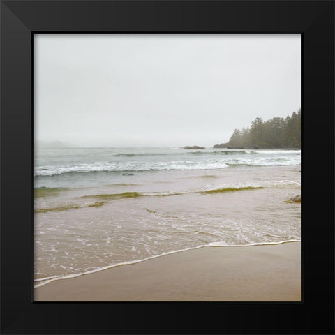 Pacific Rim Black Modern Wood Framed Art Print by Delimont, Danita