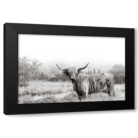 Highland Crossing Black Modern Wood Framed Art Print with Double Matting by Delimont, Danita