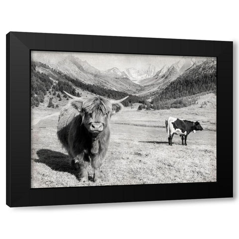Highland Hills Black Modern Wood Framed Art Print with Double Matting by Delimont, Danita