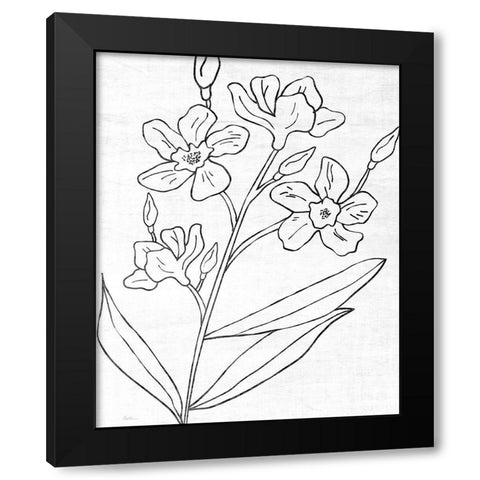 Botanical Sketch I Black Modern Wood Framed Art Print by Carpentieri, Natalie