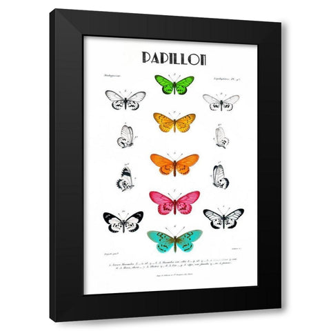 Papillion Black Modern Wood Framed Art Print with Double Matting by Donovan, Kelly