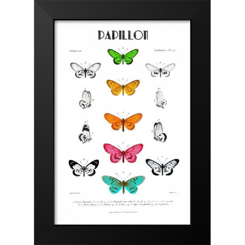Papillion Black Modern Wood Framed Art Print by Donovan, Kelly