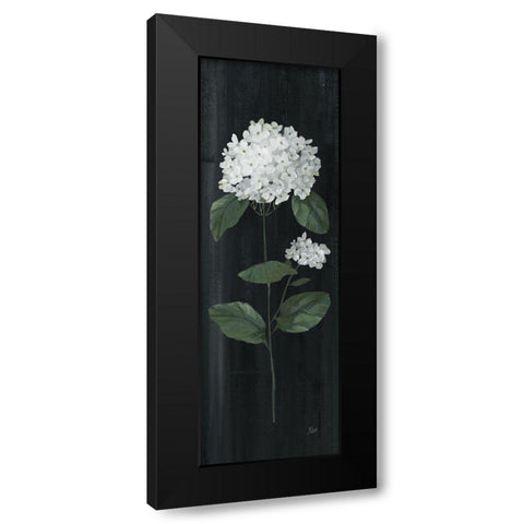 White Country Botanical II Black Modern Wood Framed Art Print with Double Matting by Nan