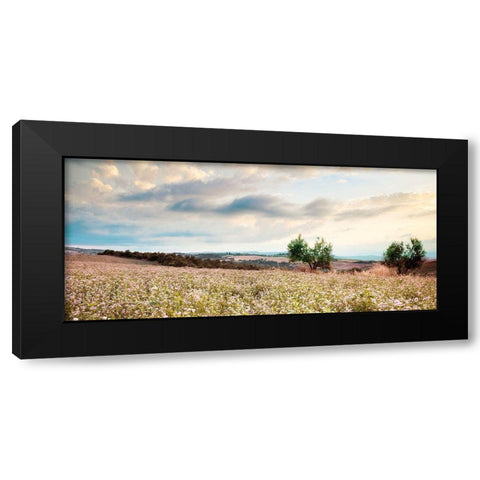 Tuscan Black Modern Wood Framed Art Print with Double Matting by Delimont, Danita