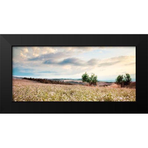 Tuscan Black Modern Wood Framed Art Print by Delimont, Danita