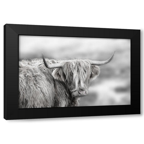 Roaming Isle of Skye Black Modern Wood Framed Art Print with Double Matting by Delimont, Danita