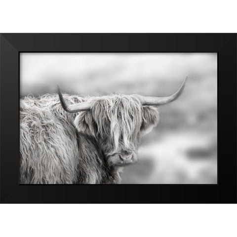 Roaming Isle of Skye Black Modern Wood Framed Art Print by Delimont, Danita