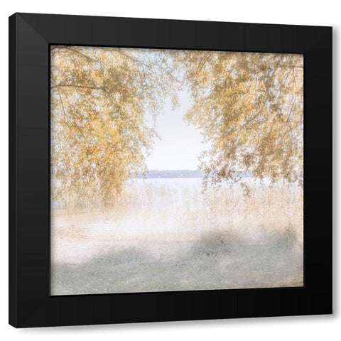 Friendly Lake Black Modern Wood Framed Art Print by Weisz, Irene