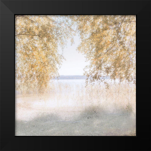 Friendly Lake Black Modern Wood Framed Art Print by Weisz, Irene