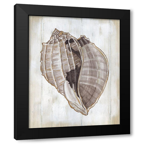 Ocean Cone II Black Modern Wood Framed Art Print with Double Matting by Robinson, Carol