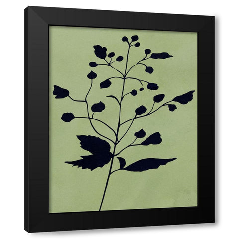 Earthly Botanical II Black Modern Wood Framed Art Print with Double Matting by Jill, Susan