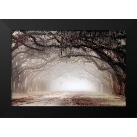 Timeless Plantation Drive Black Modern Wood Framed Art Print by Delimont, Danita