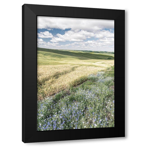Wildflower Farm Black Modern Wood Framed Art Print by Delimont, Danita