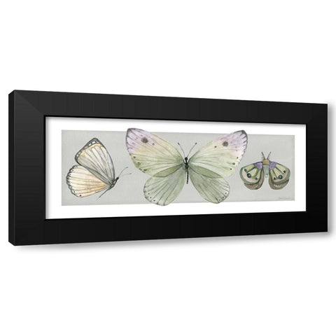 Pretty Insects II Black Modern Wood Framed Art Print with Double Matting by Robinson, Carol
