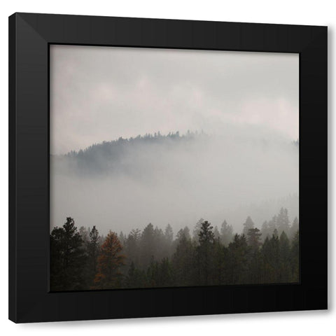 After Rain I Black Modern Wood Framed Art Print with Double Matting by Robinson, Carol