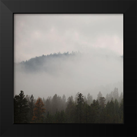 After Rain I Black Modern Wood Framed Art Print by Robinson, Carol