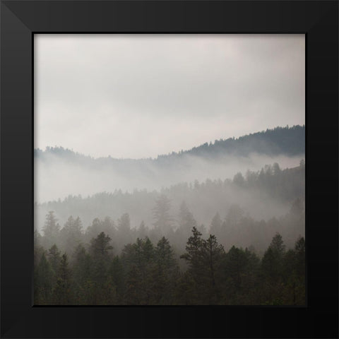 After Rain II Black Modern Wood Framed Art Print by Robinson, Carol