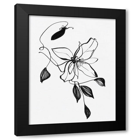 Wild Clematis I Black Modern Wood Framed Art Print with Double Matting by Swatland, Sally