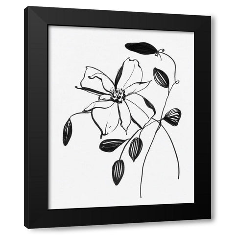 Wild Clematis II Black Modern Wood Framed Art Print with Double Matting by Swatland, Sally