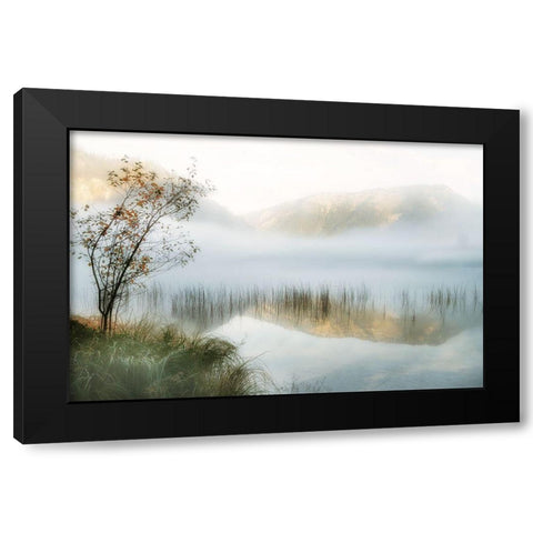 Golden Mirror of October Black Modern Wood Framed Art Print with Double Matting by Weisz, Irene