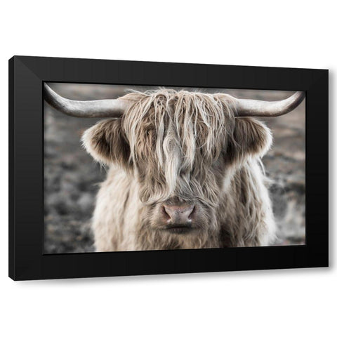 Highland Skye Black Modern Wood Framed Art Print with Double Matting by Delimont, Danita