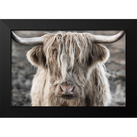 Highland Skye Black Modern Wood Framed Art Print by Delimont, Danita
