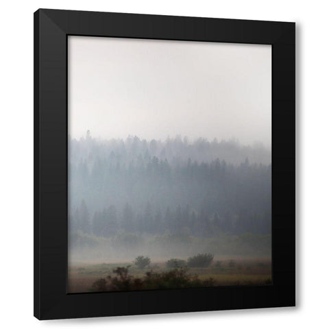 Morning Glow I Black Modern Wood Framed Art Print with Double Matting by Robinson, Carol